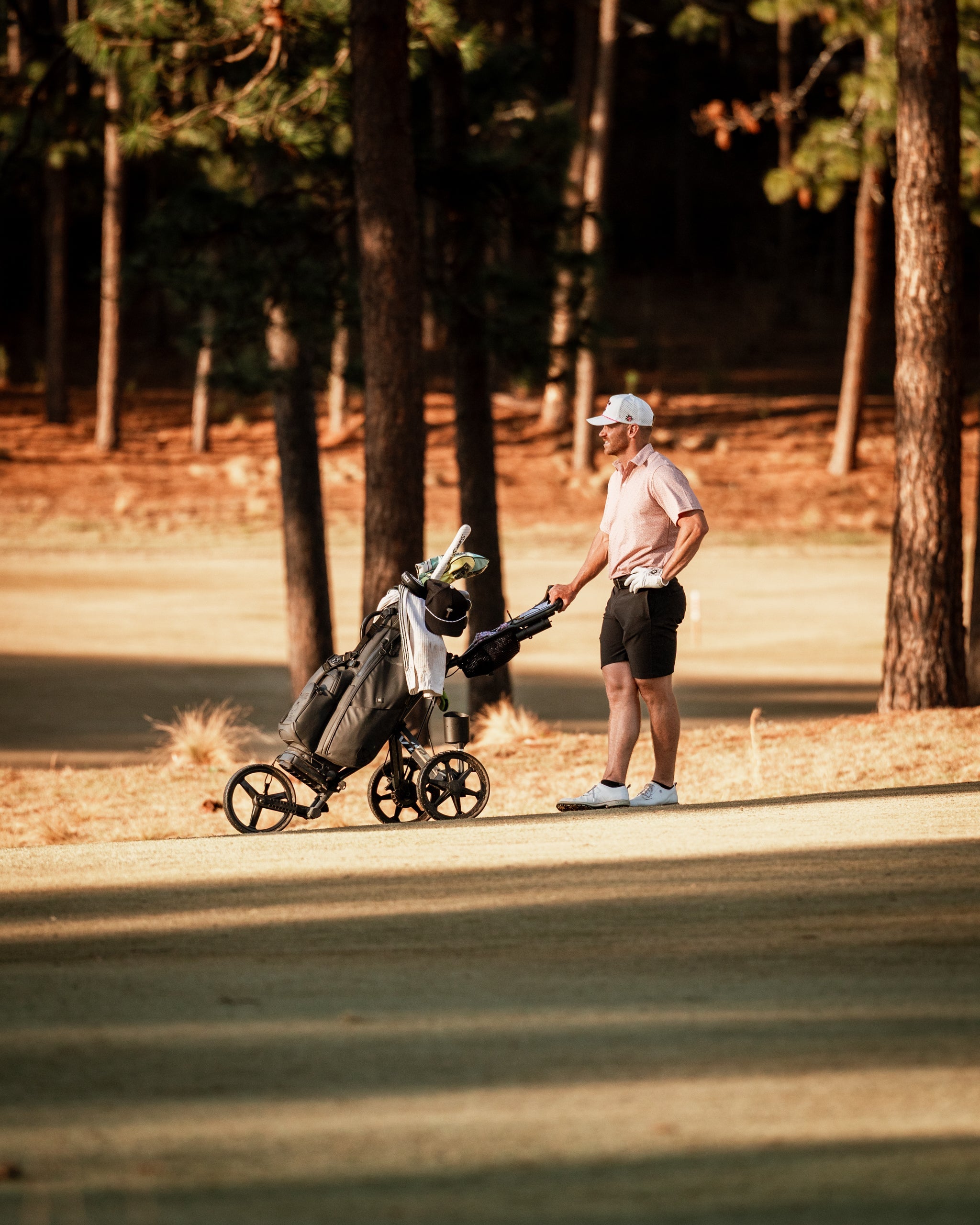A golfer stands beside a golf cart on a sunlit course, surrounded by tall trees, preparing for their next shot.